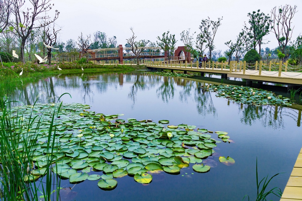 yangzhou canal sanwan scenic area china by igreendesign