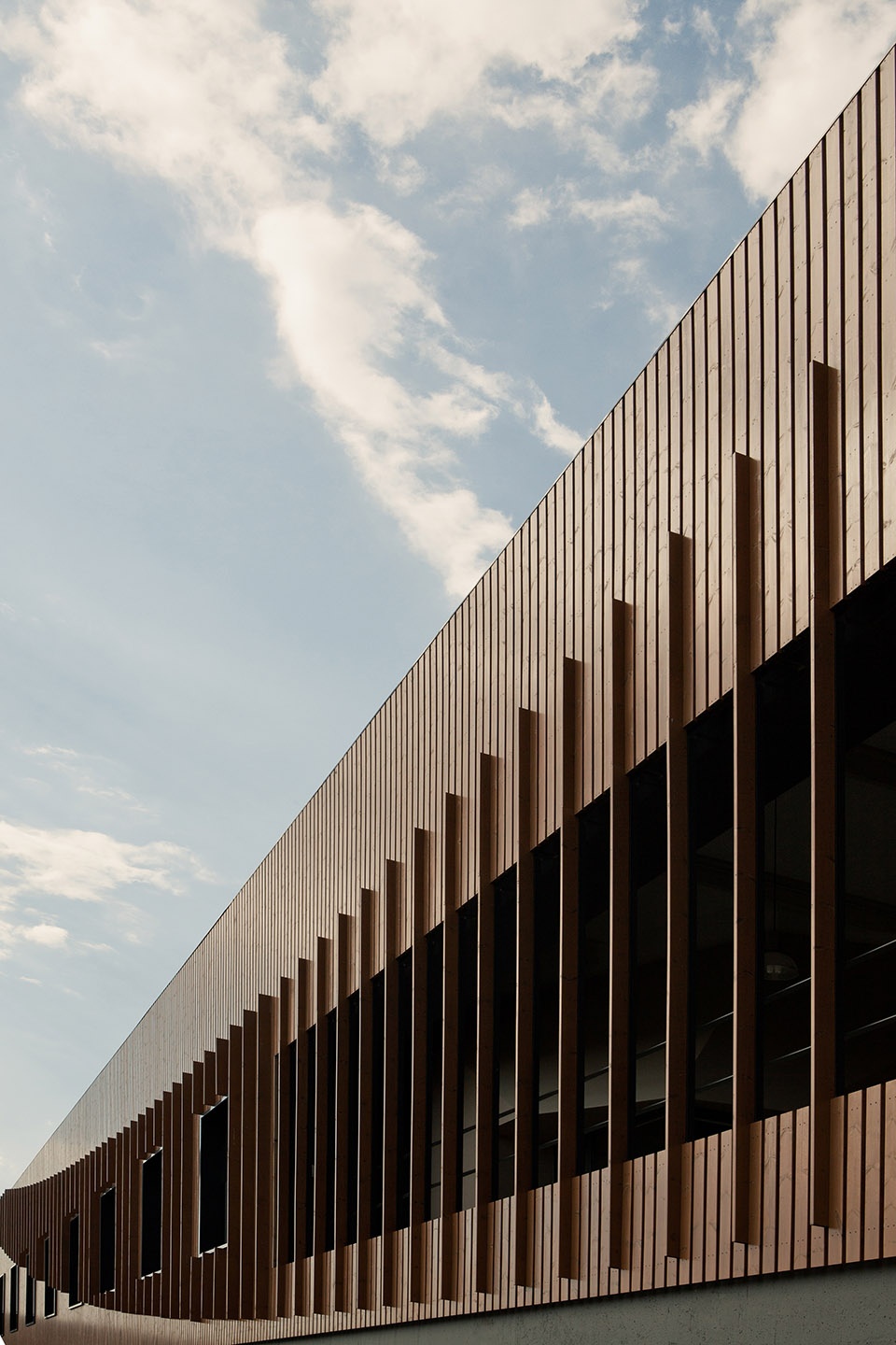 doluca winery by sanalarc