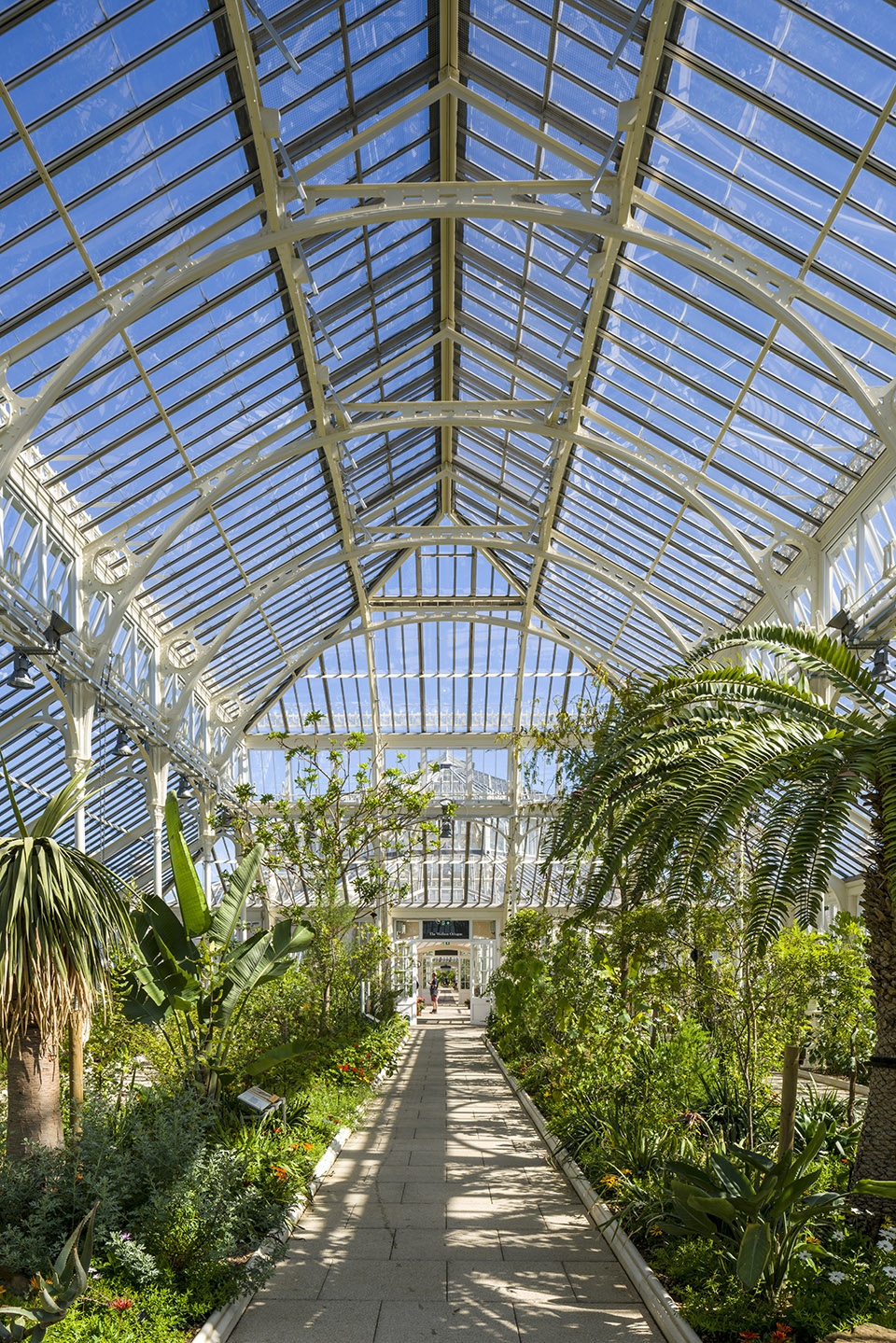 temperate house conservation by donald insall associates