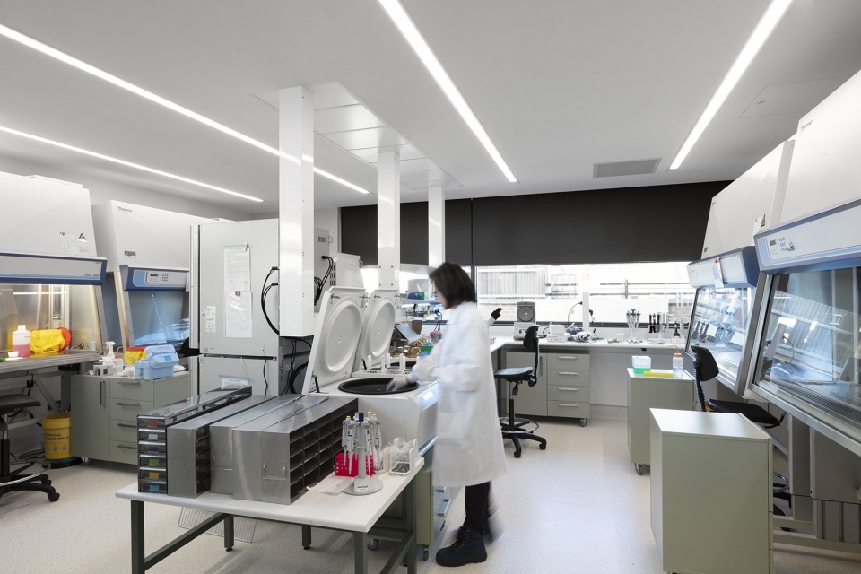 bio 21 nancy millis building by designinc