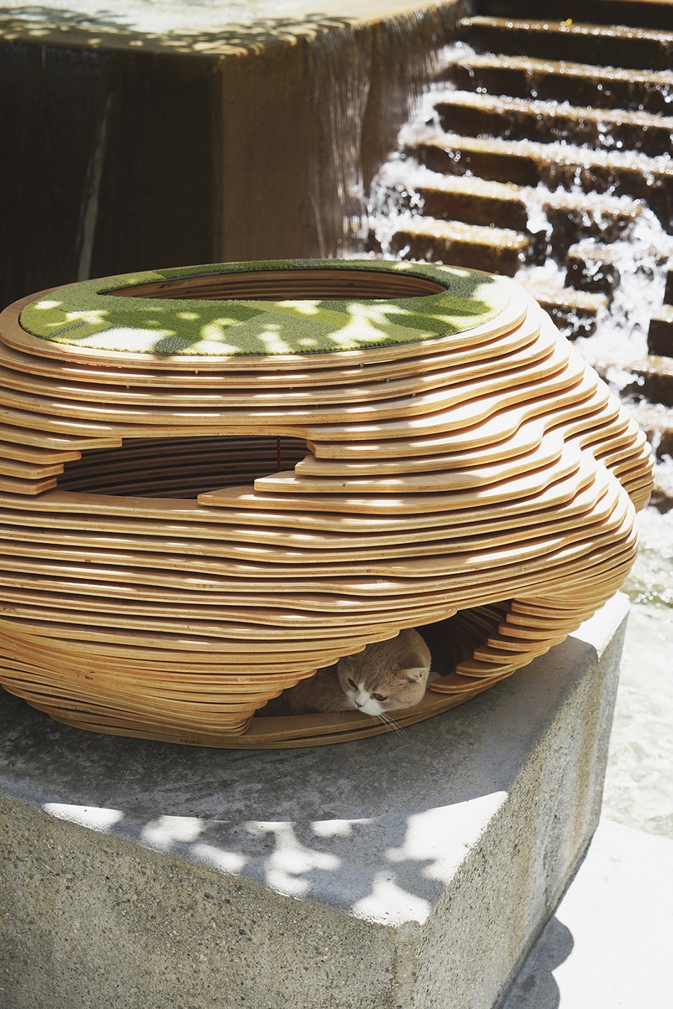 cat bowl by xiaofeng mei