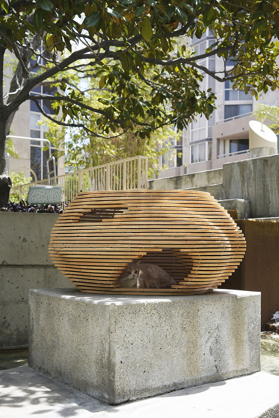 cat bowl by xiaofeng mei
