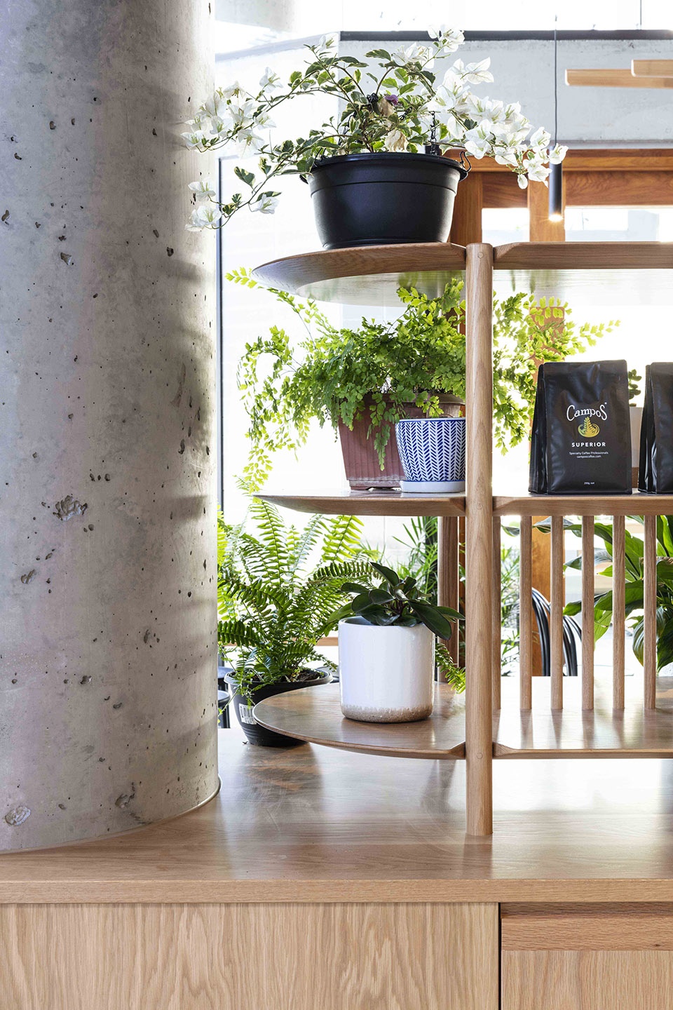 campos newstead by sp studio