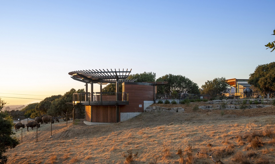 california trail at the oakland zoo by noll tam architects