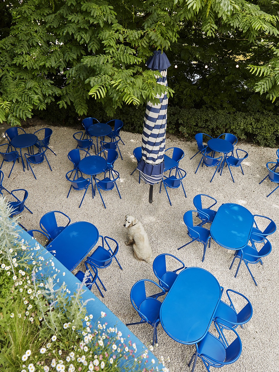 blauwe theehuis by studio modijefsky