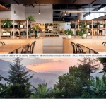 Campos Newstead咖啡烘焙店，布里斯班 / SP Studio