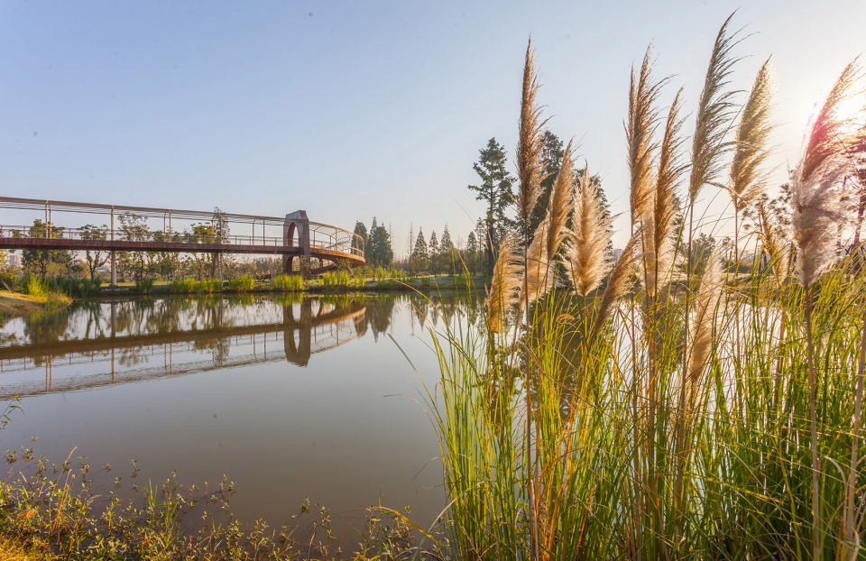 yangzhou canal sanwan scenic area china by igreendesign