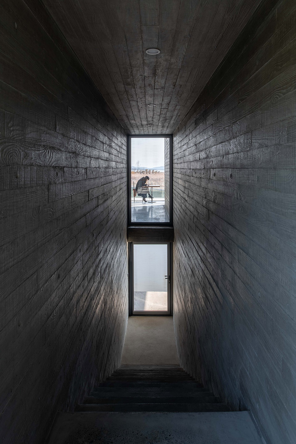 swan lake bridge house and viewing tower in shandong china by tao trace architecture office