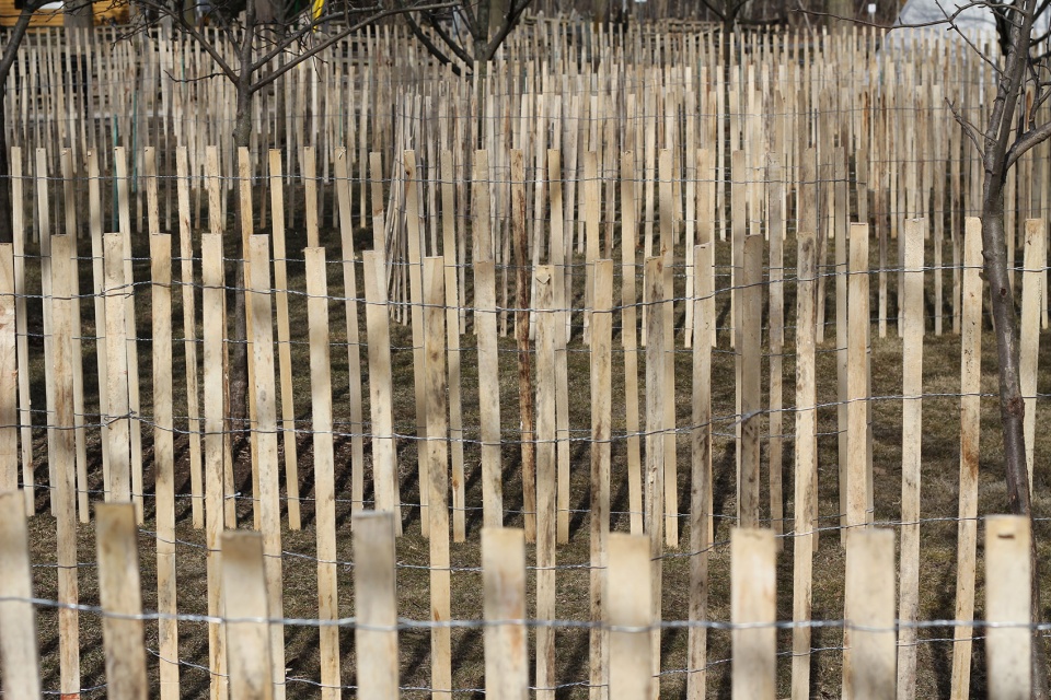 long division borders boundaries and barricades by leuwebb projects