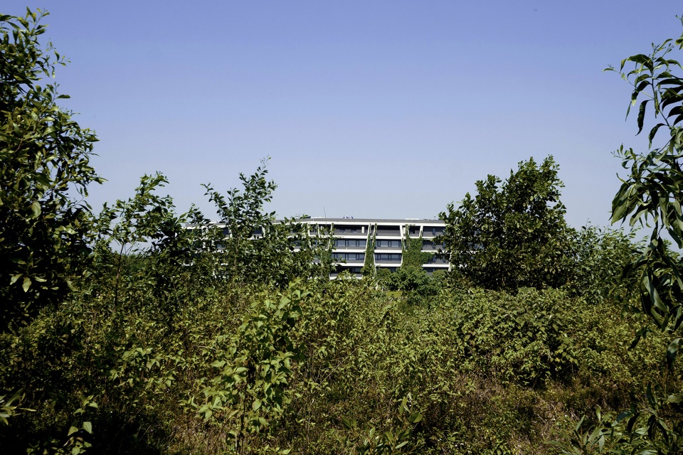 concrete lace by g8a architecture urban planning