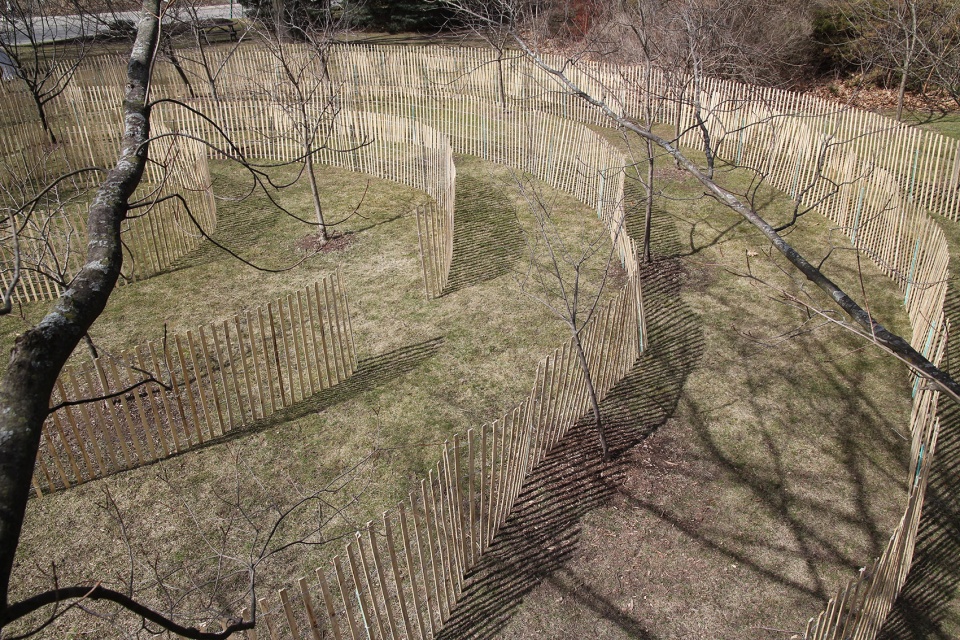 long division borders boundaries and barricades by leuwebb projects
