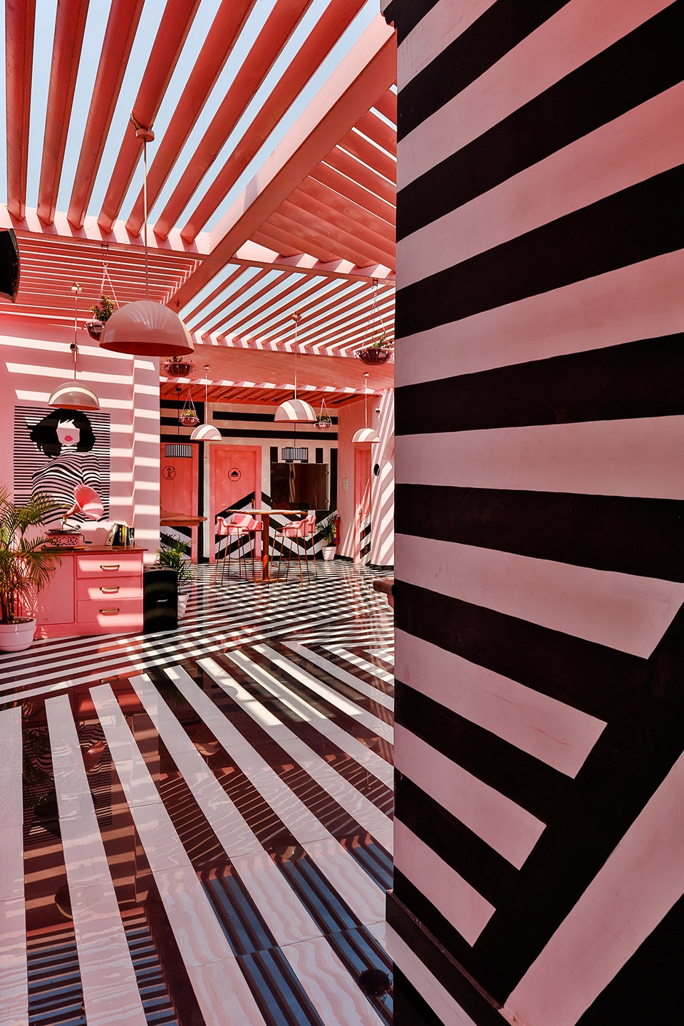 the pink zebra by renesa architecture design interiors
