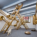 gooood合辑：与动物有关的项目