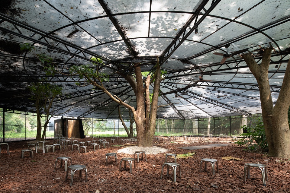 forest big by divooe zein architects