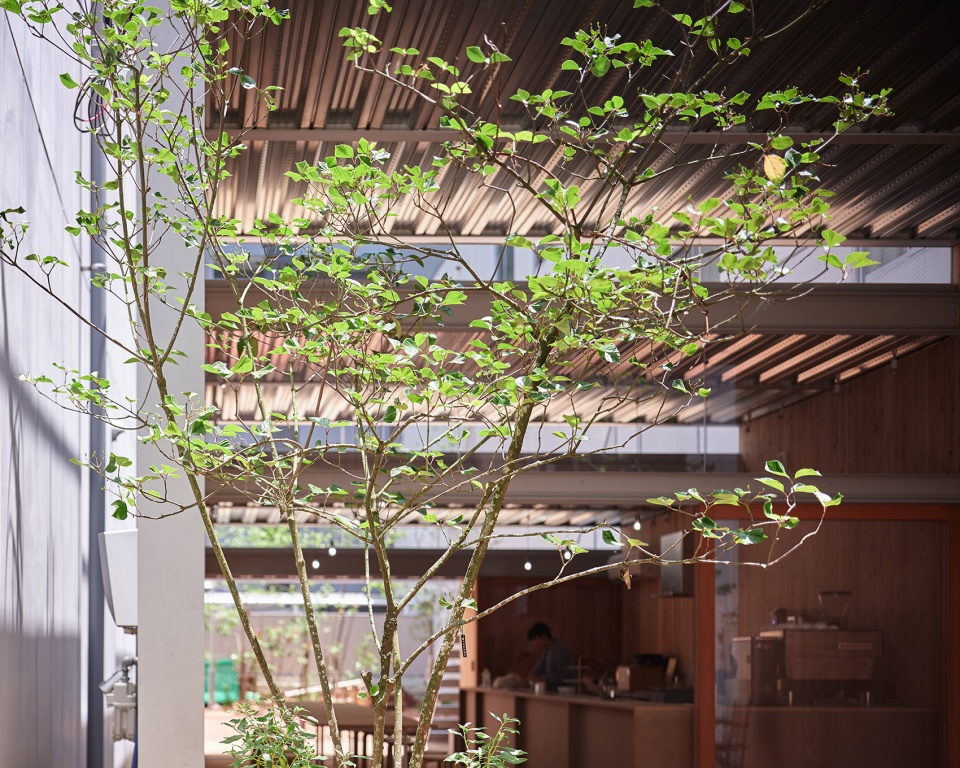 omoken park by yabashi architect associates