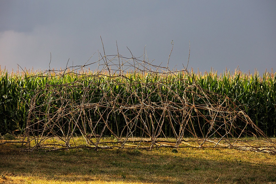 20 installations at hello wood 2019