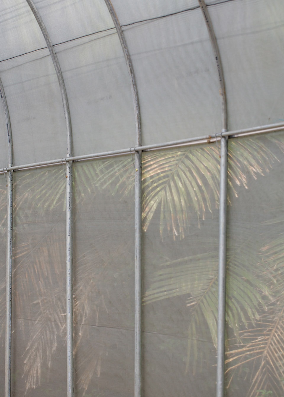 forest big by divooe zein architects