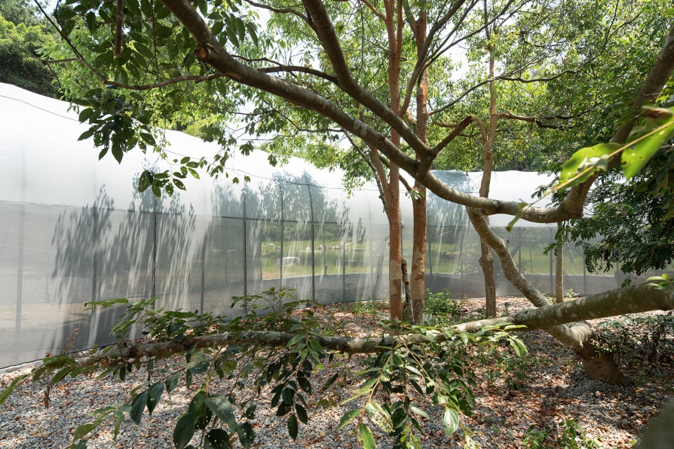 forest big by divooe zein architects