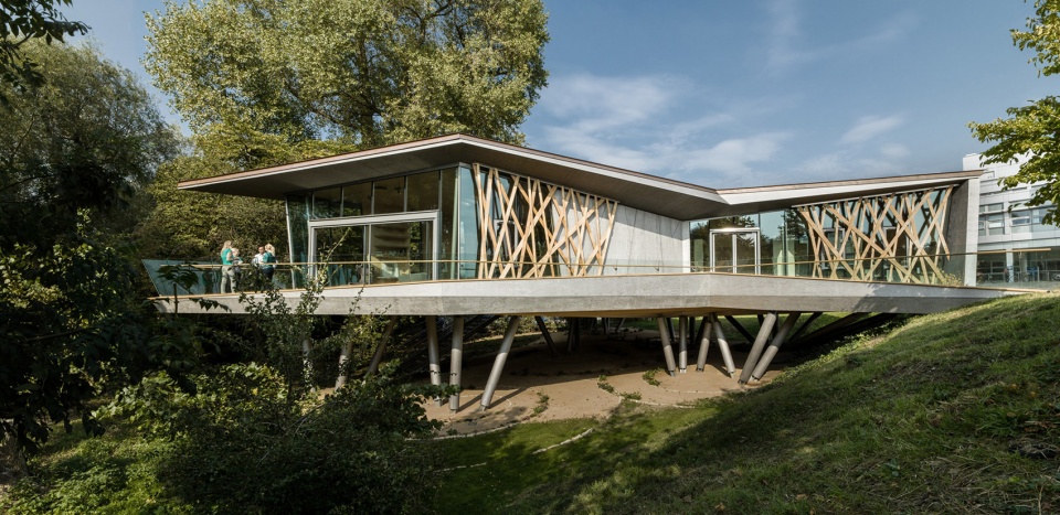 maggies centre oxford by wilkinson eyre architects