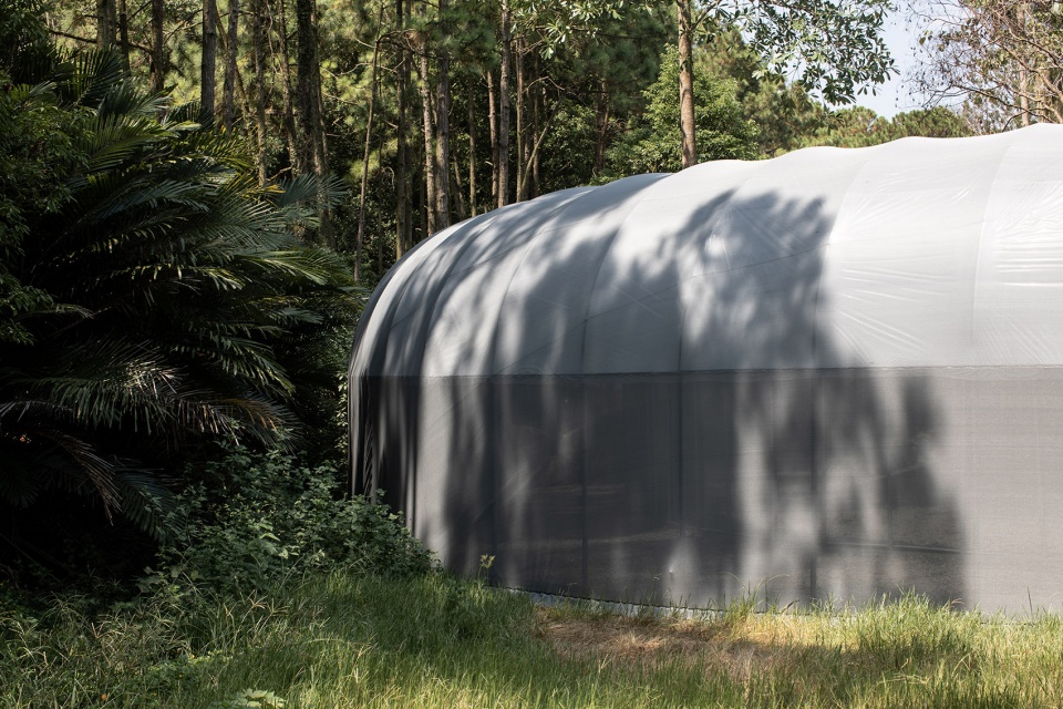 forest big by divooe zein architects