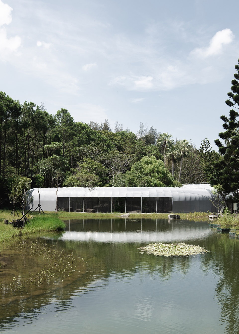 forest big by divooe zein architects