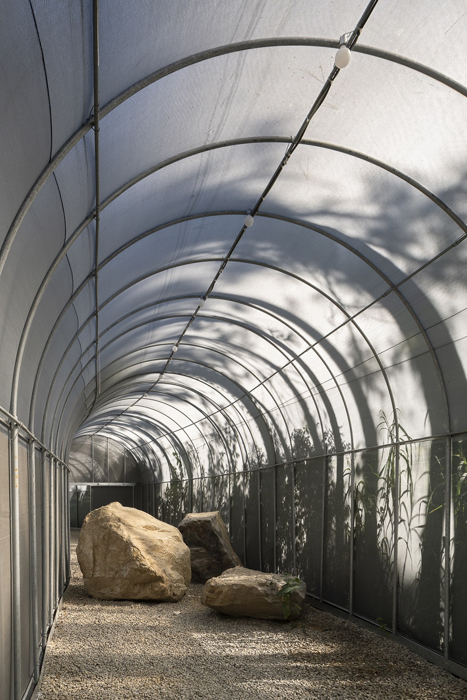 forest big by divooe zein architects
