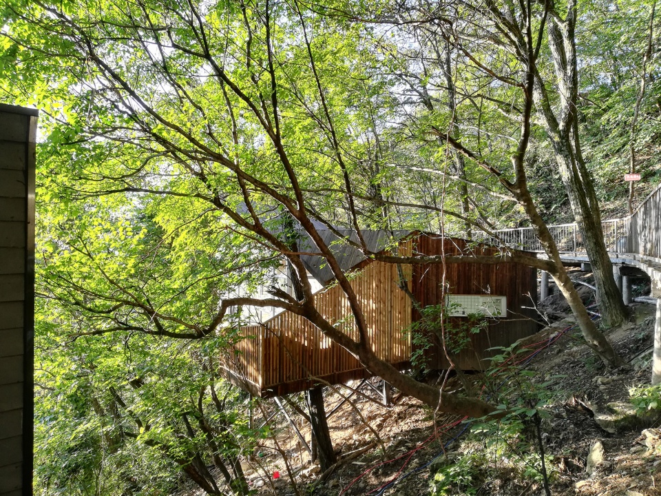 tree house in laojun mountain luoyang china by ojo oyo prelab
