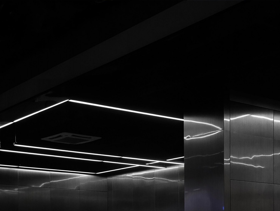 roaringwild studio china by weiweimao