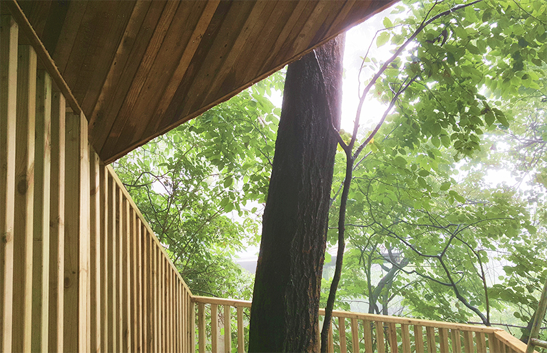 tree house in laojun mountain luoyang china by ojo oyo prelab