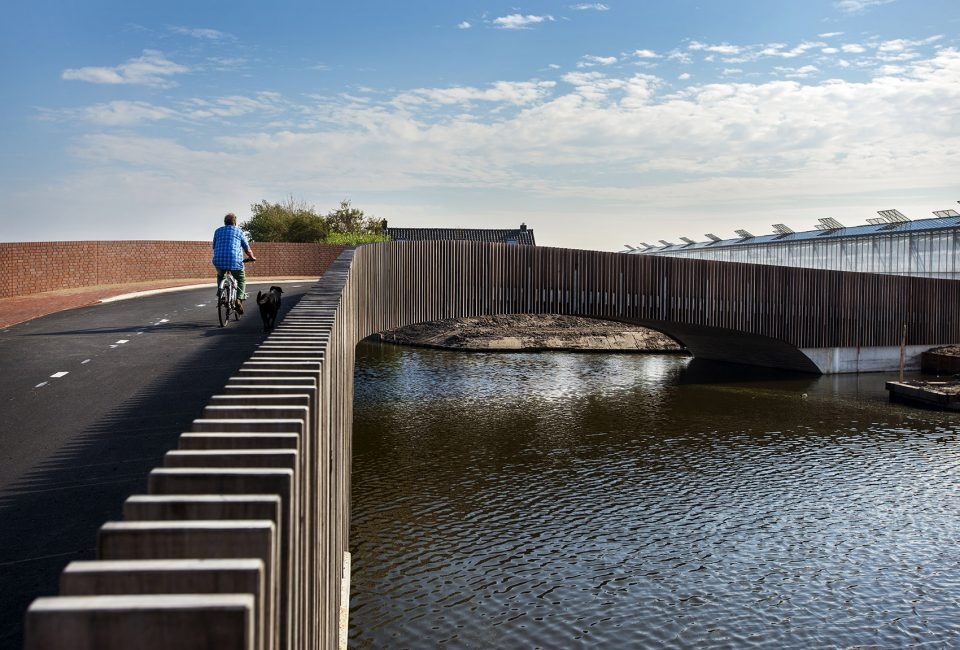 external1 Raymond Rutting bat bridge next 960x650