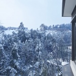 安吉桃花源未来山，湖州 / 蓝城设计
