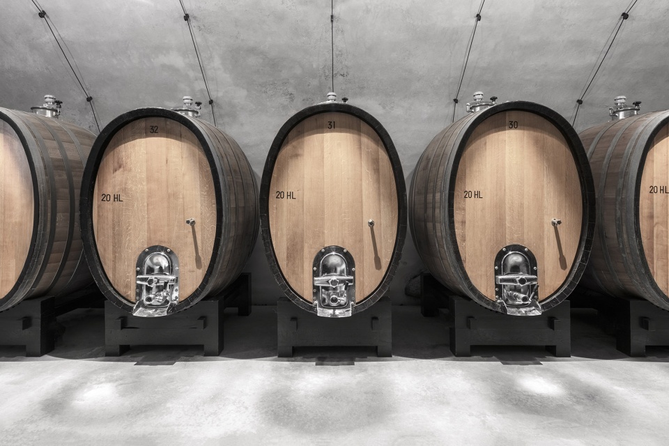 hotel pacherhof new cellar bergmeisterwolf architekten