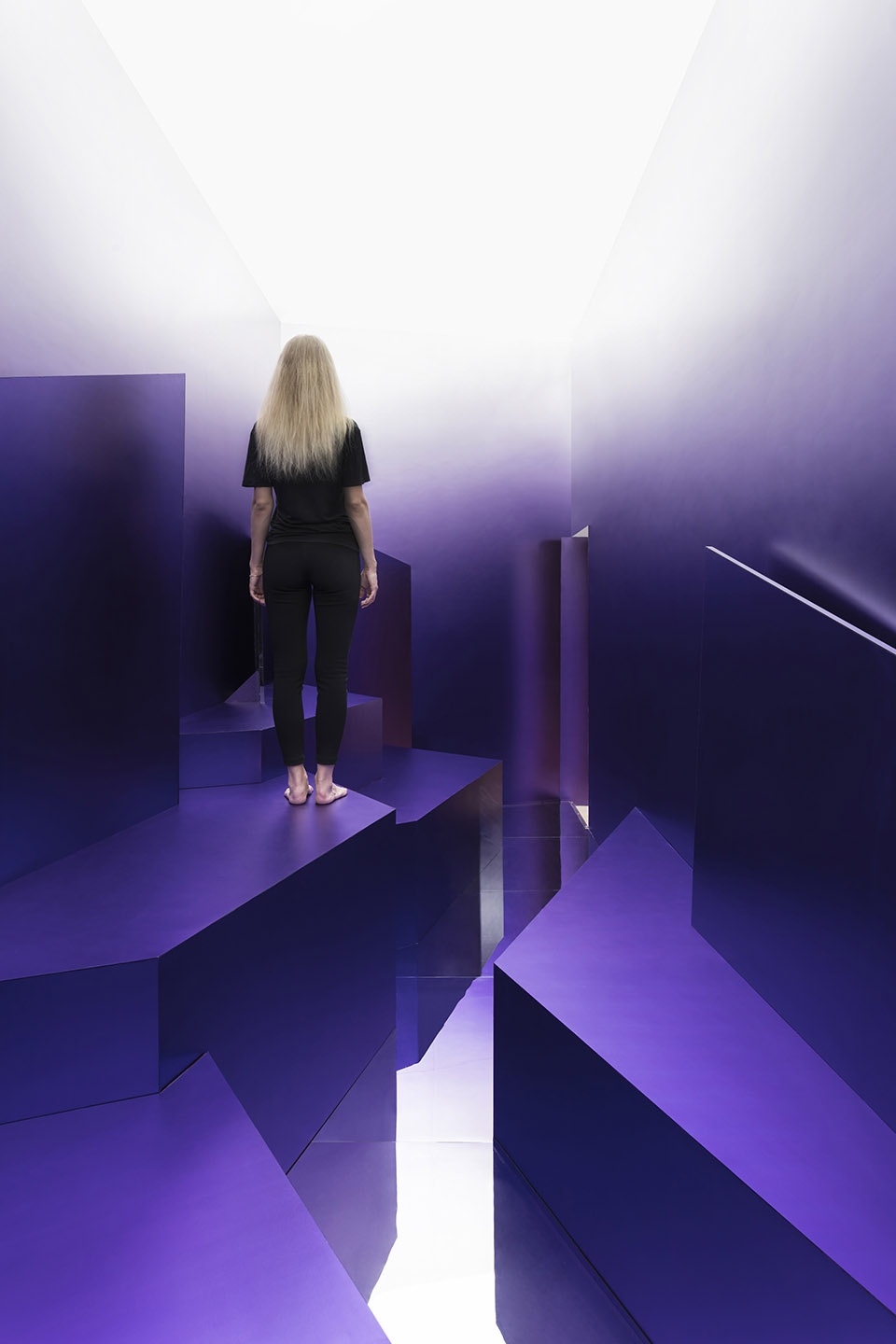 sky chrome by maxim kashin architects