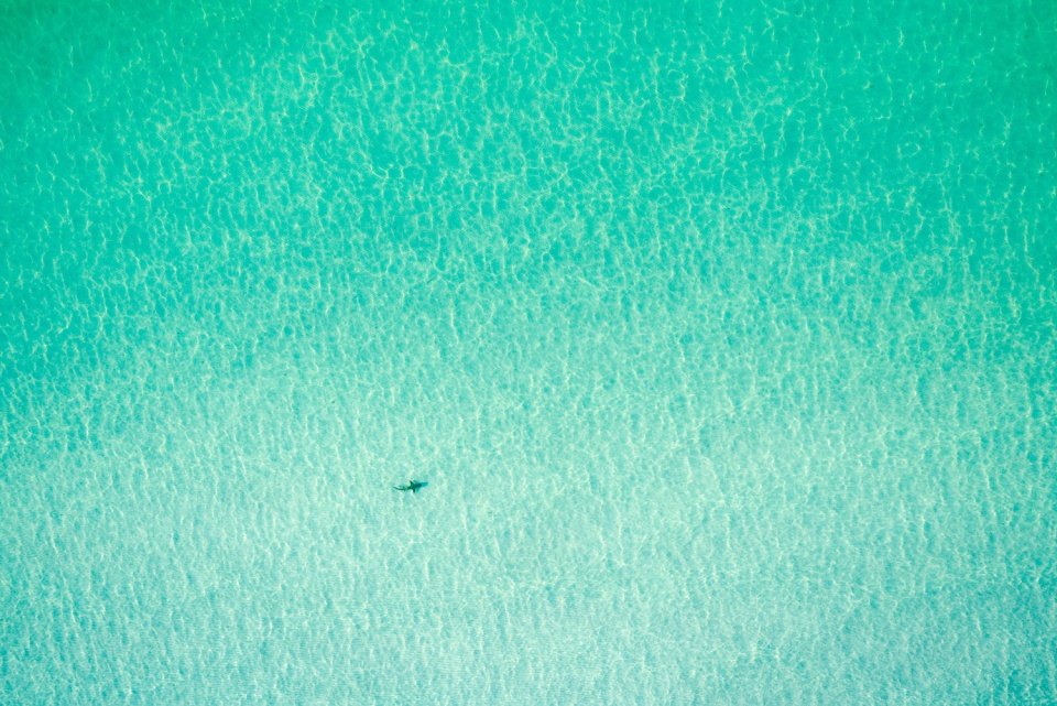at 1000 feet by dinesh boaz