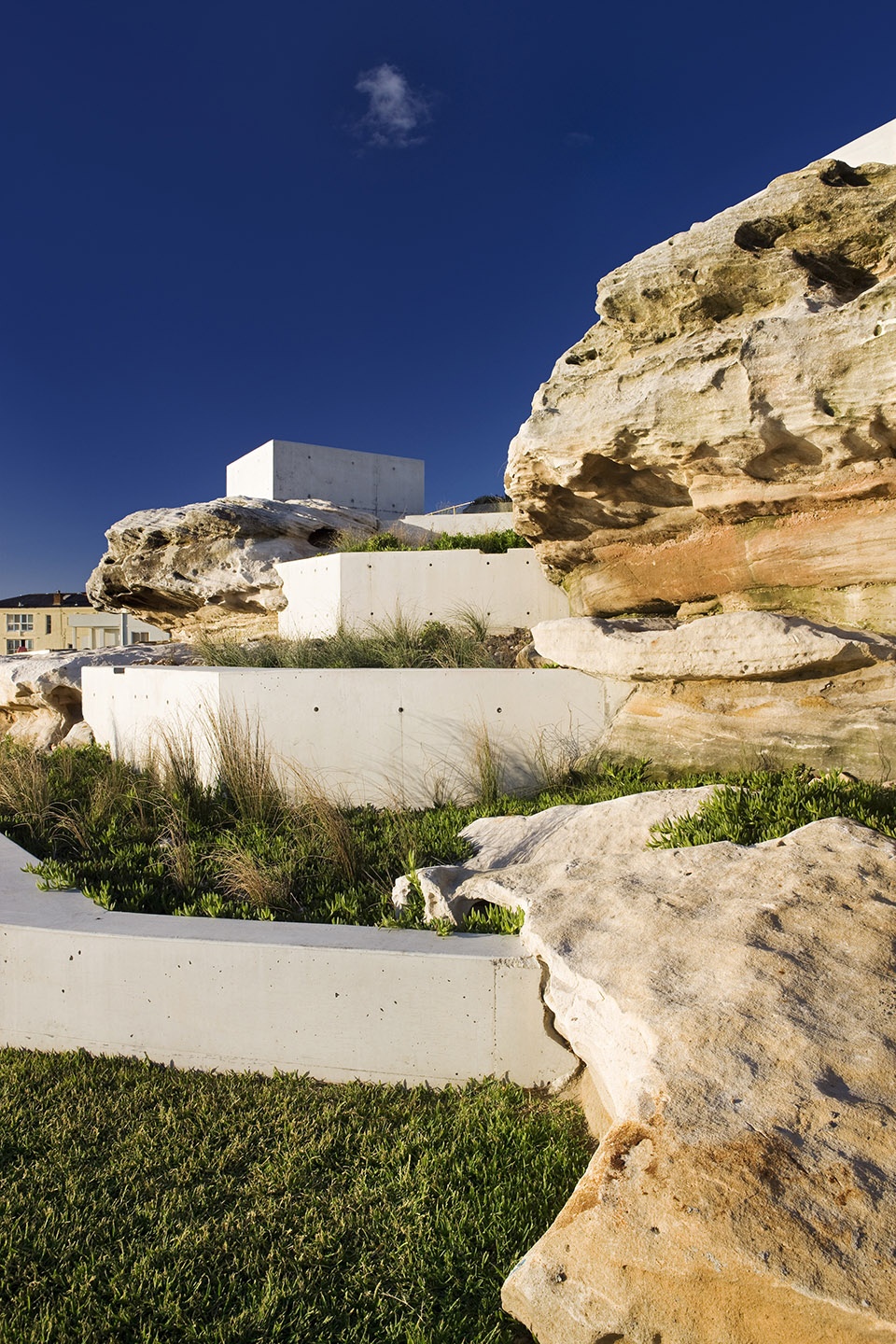 Ben Buckler Lookout by McGregor Westlake Architecture