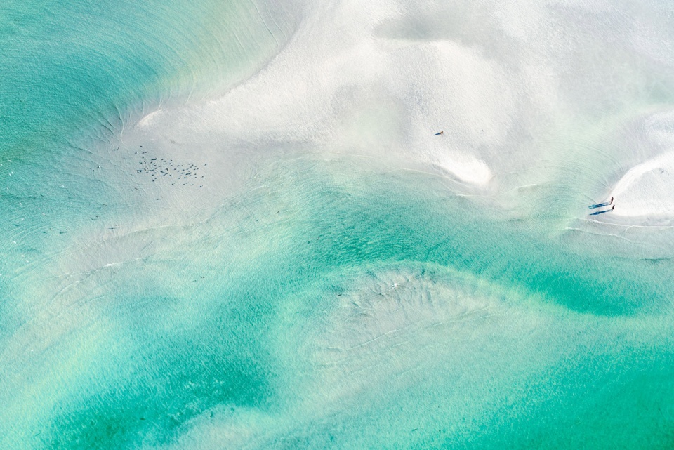 at 1000 feet by dinesh boaz