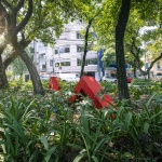 红线装置，墨西哥城 / Miguel de la Torre Architects