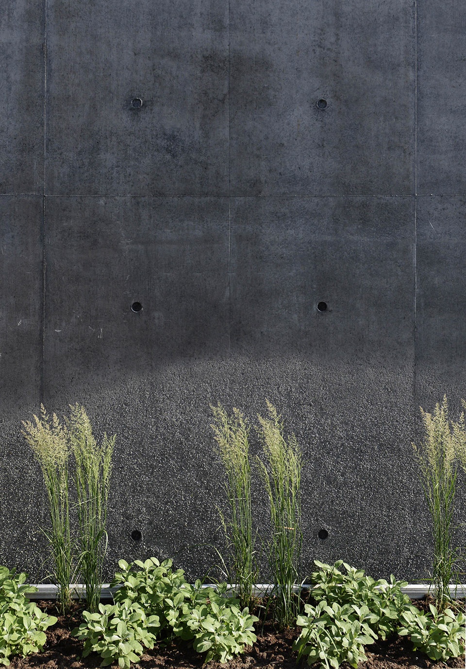 CINEMA DE RIOM by TRACKS