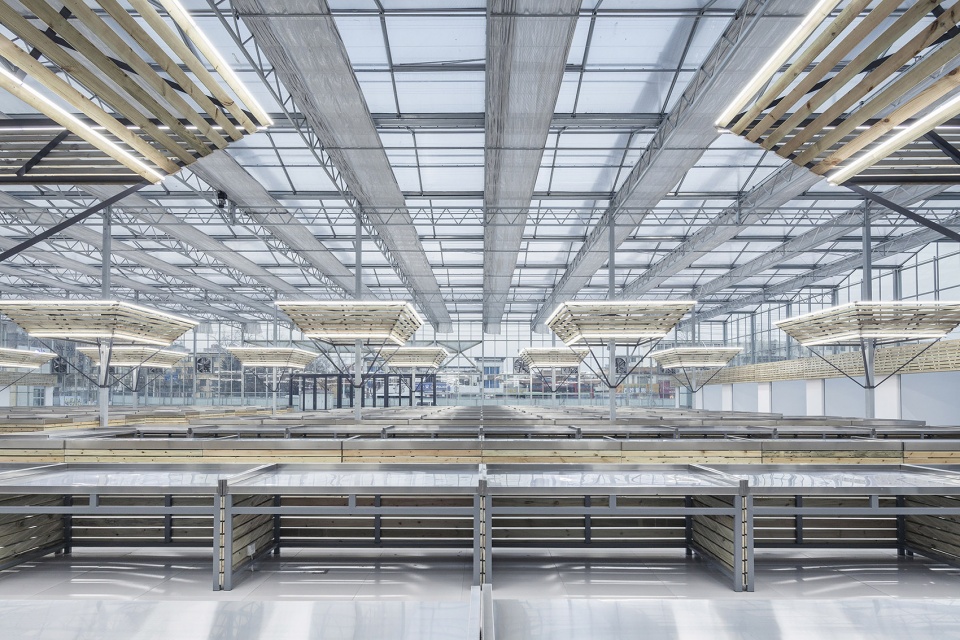 temporary site of shengli market china by luo studio