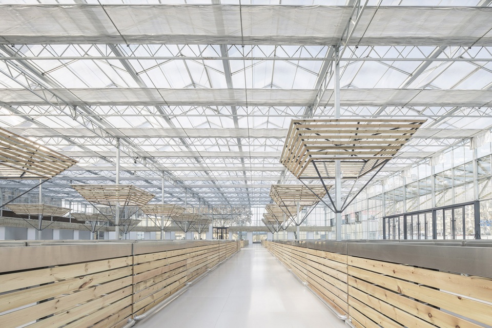 temporary site of shengli market china by luo studio