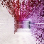 语言的世界，东京 / emmanuelle moureaux