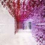 语言的世界，东京 / emmanuelle moureaux