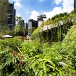 Design Orchard by WOHA