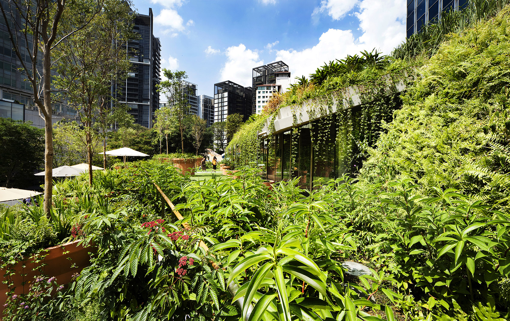 design orchard by woha