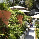 Design Orchard by WOHA