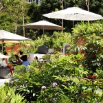 Design Orchard by WOHA