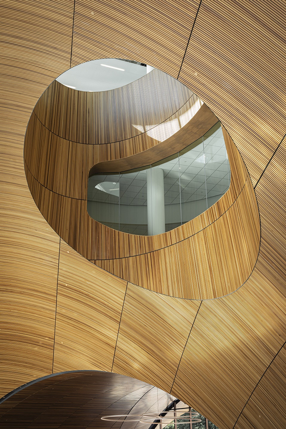 charles library at temple university in philadelphia by snohetta