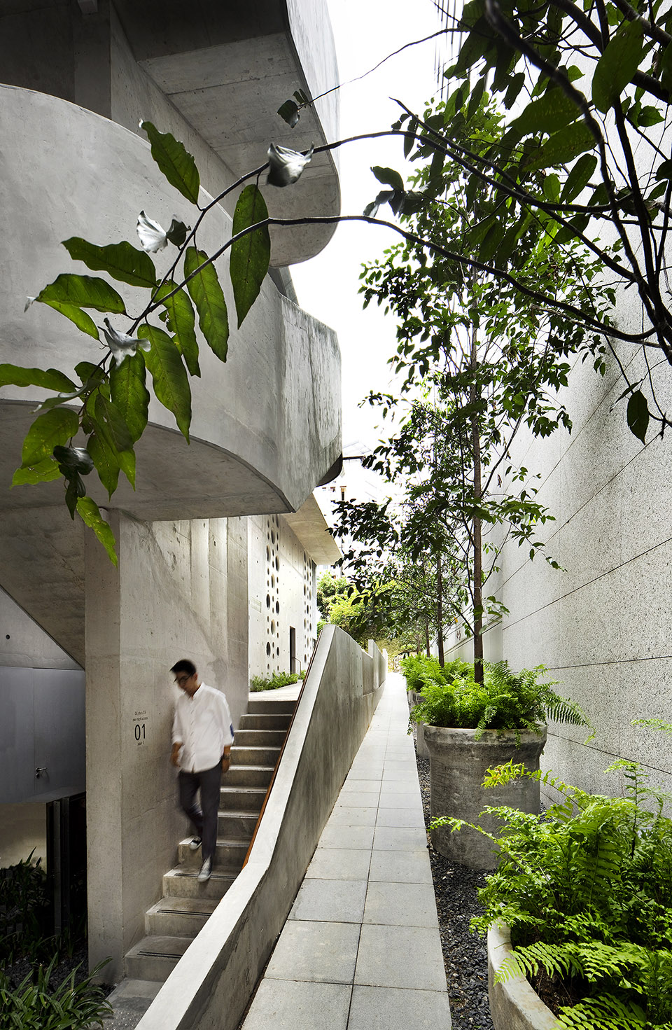 design orchard by woha