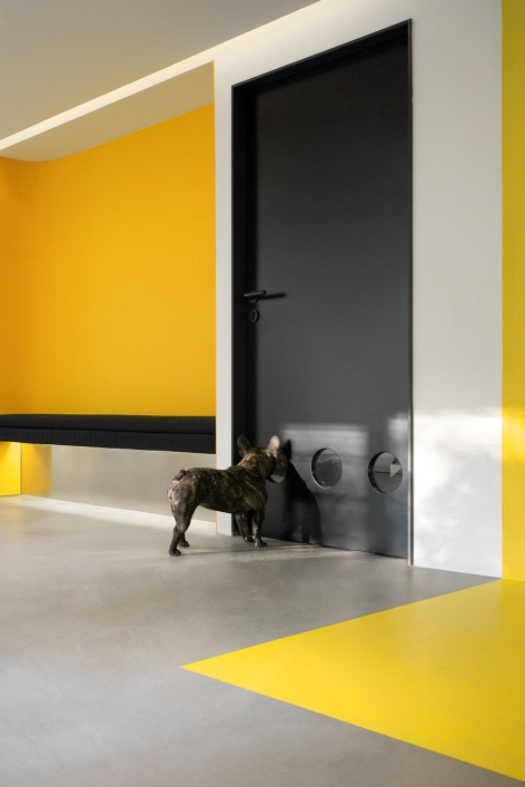 nova pets china by say architects