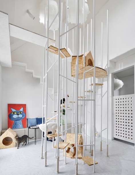 wildcats forest china by atdesign